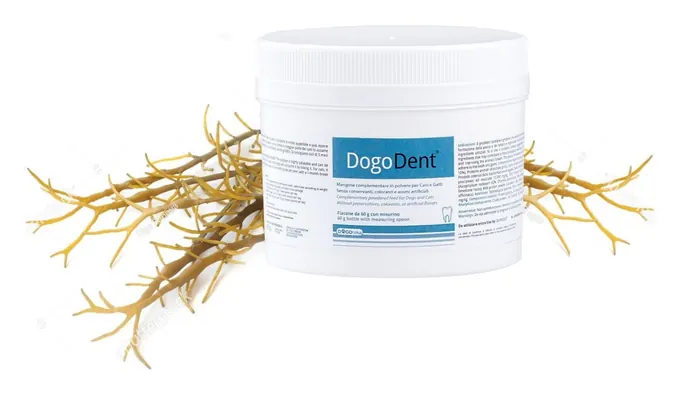 DogoDent