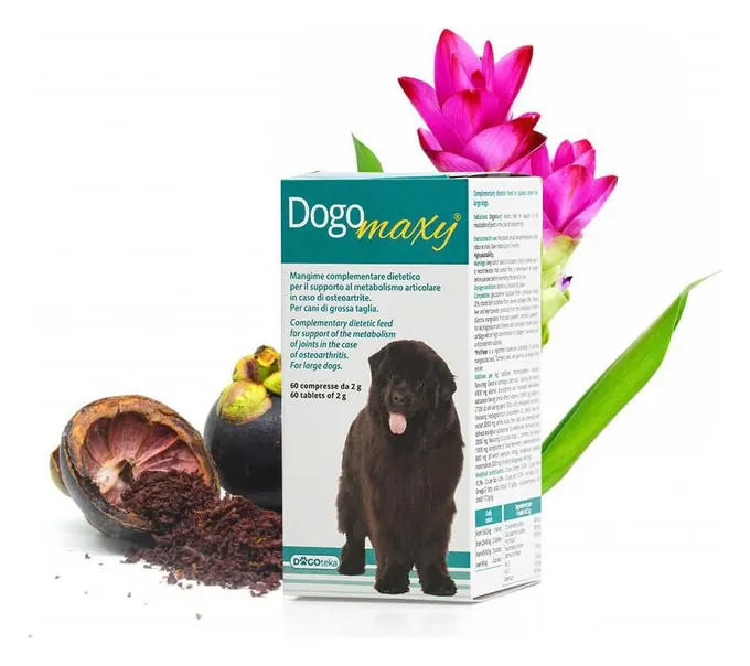 DOGOmaxy