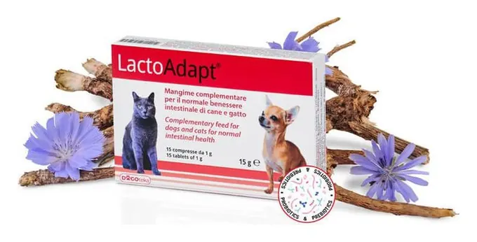 LactoAdapt