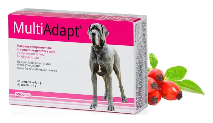 MultiAdapt